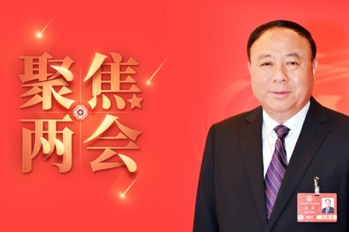 全國(guó)人大代表李寅2025年建議之四--盡快解決農(nóng)林生物質(zhì)發(fā)電可再生能源電價(jià)附加補(bǔ)助拖欠問題，化解行業(yè)經(jīng)營(yíng)風(fēng)險(xiǎn)的建議