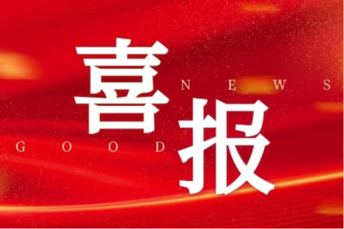 喜報(bào)！智能配電網(wǎng)事業(yè)部榮獲2025年黑龍江省工人先鋒號（巾幗標(biāo)兵崗）榮譽(yù)稱號